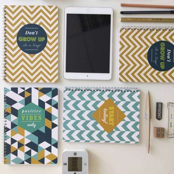 13479246_10154231337344522_839590923_n